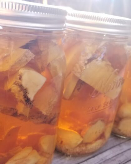 Teton Fire Cider