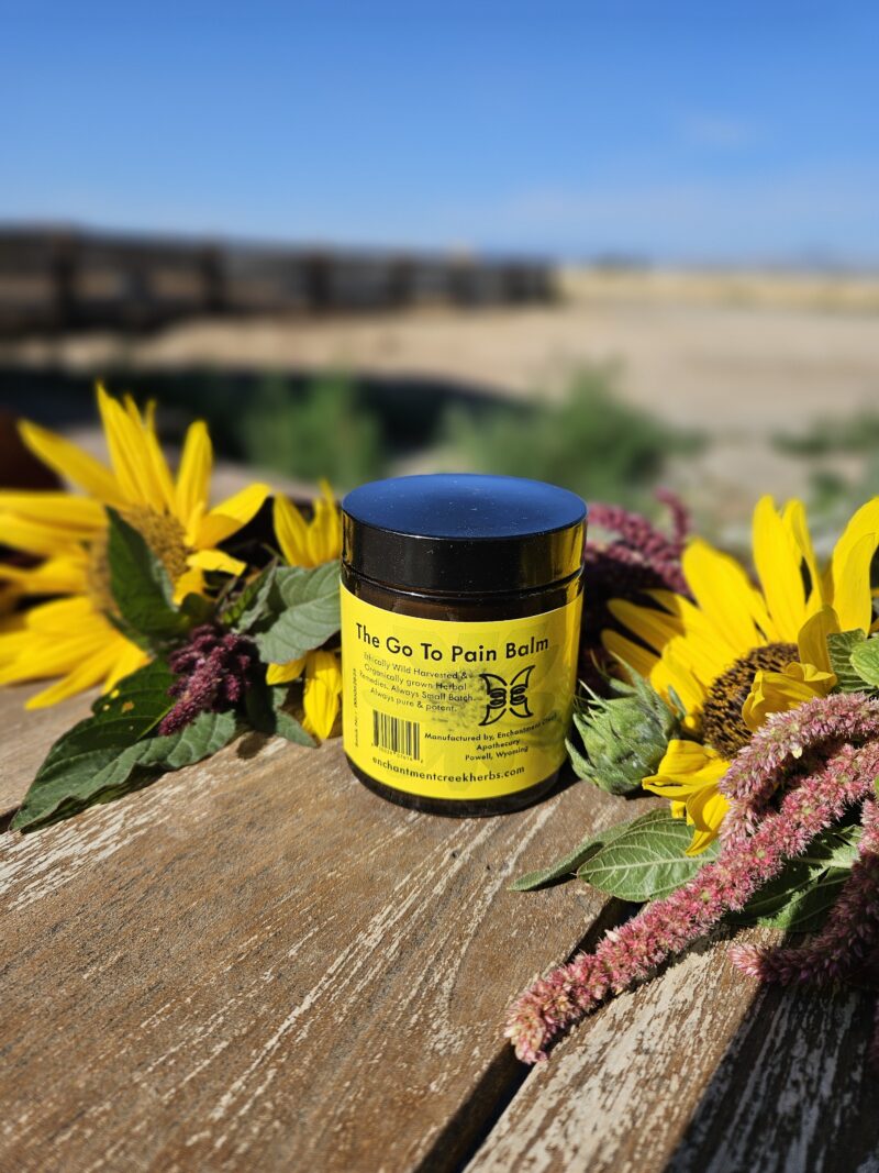 Arnica Balm - the best natural pain relief - Image 7